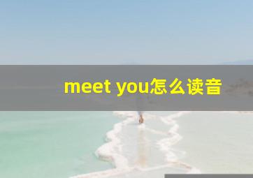 meet you怎么读音